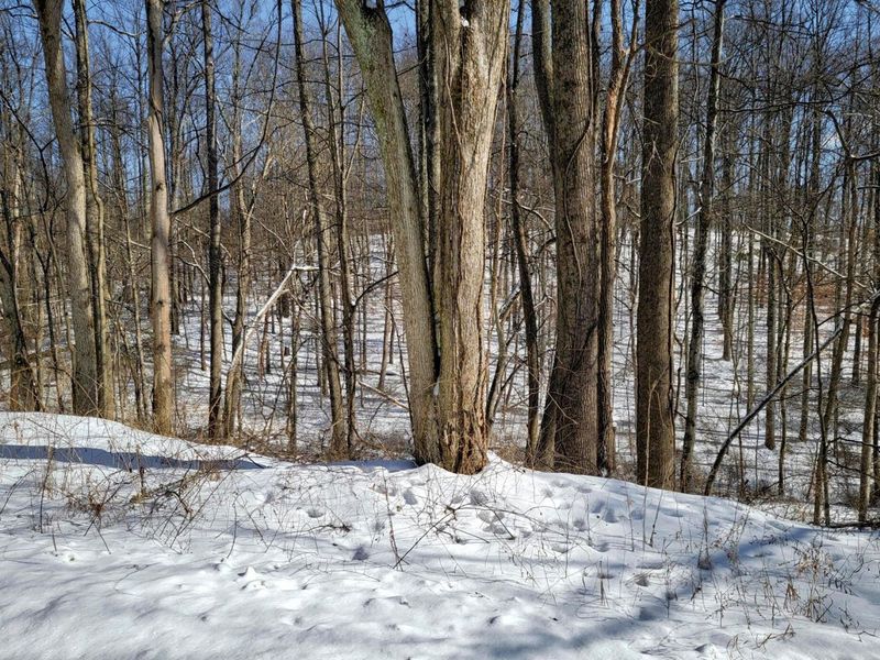 0 Tract 11 Miltonsburg-Calais , Woodsfield, OH 43793 Photo 30