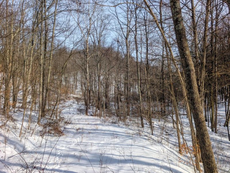 0 Tract 11 Miltonsburg-Calais , Woodsfield, OH 43793 Photo 4