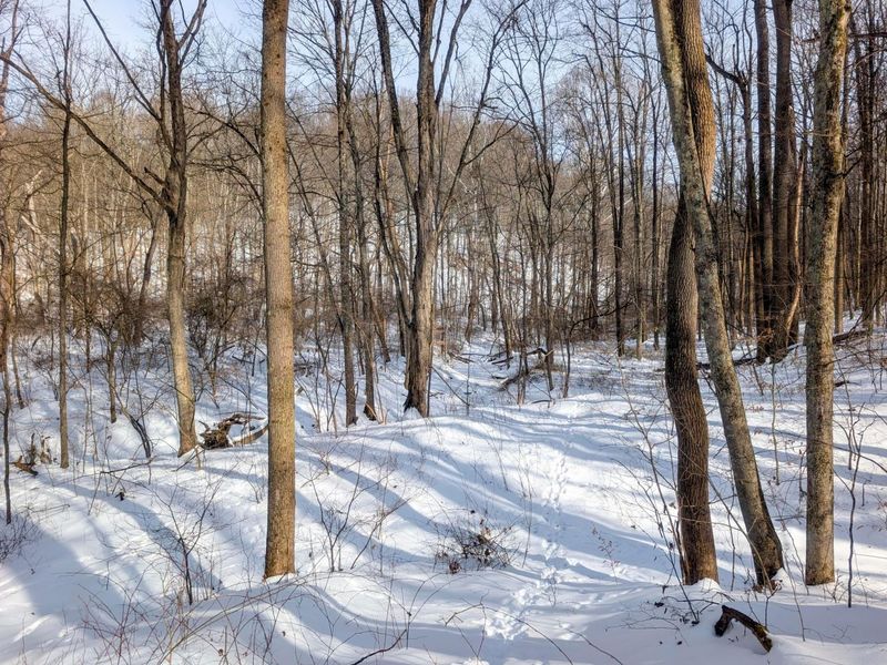 0 Tract 11 Miltonsburg-Calais , Woodsfield, OH 43793 Photo 5