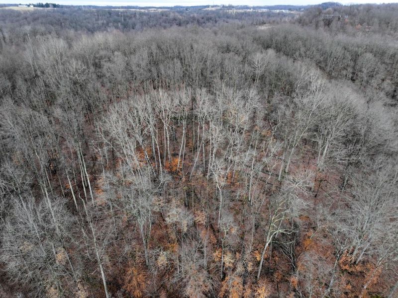 0 Tract 11 Miltonsburg-Calais , Woodsfield, OH 43793 Photo 9