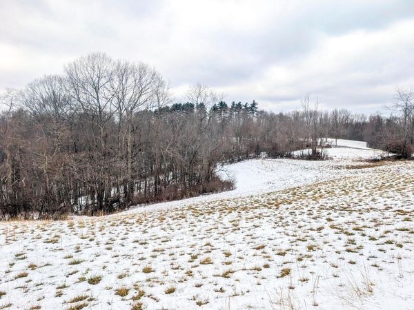 0 Tract 12 Tr 233 , Summerfield, OH 43788