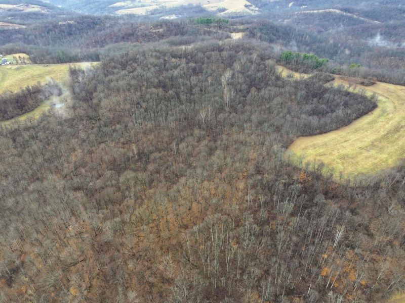 0 Tract 12 Tr 233 , Summerfield, OH 43788 Photo 10