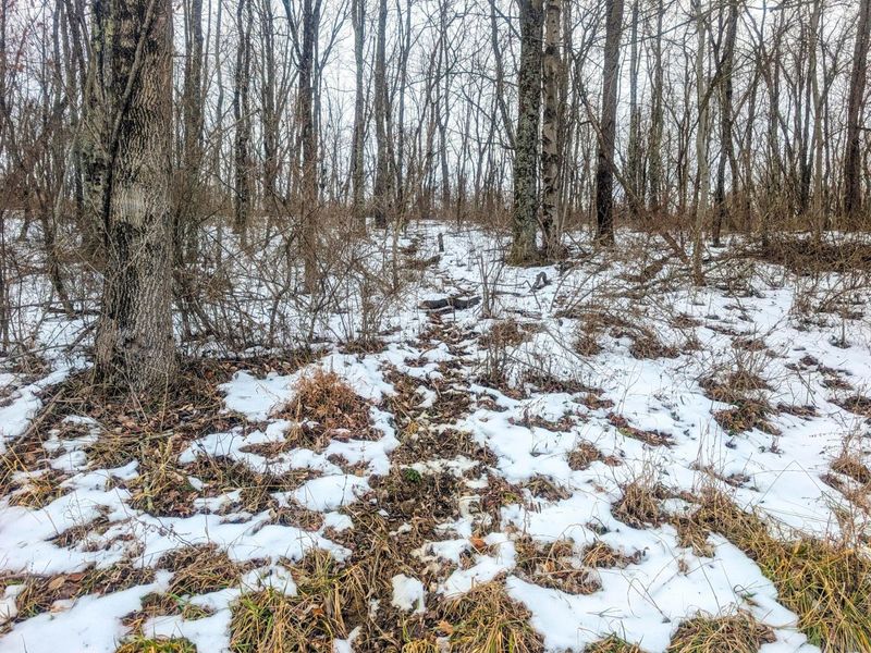 0 Tract 12 Tr 233 , Summerfield, OH 43788 Photo 13