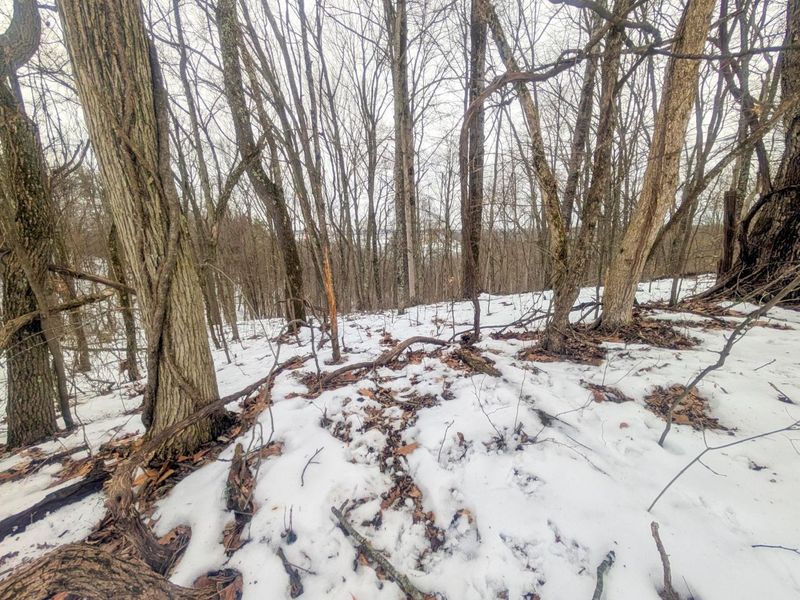 0 Tract 12 Tr 233 , Summerfield, OH 43788 Photo 14