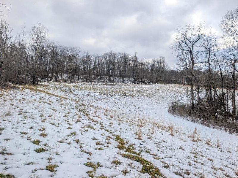 0 Tract 12 Tr 233 , Summerfield, OH 43788 Photo 15