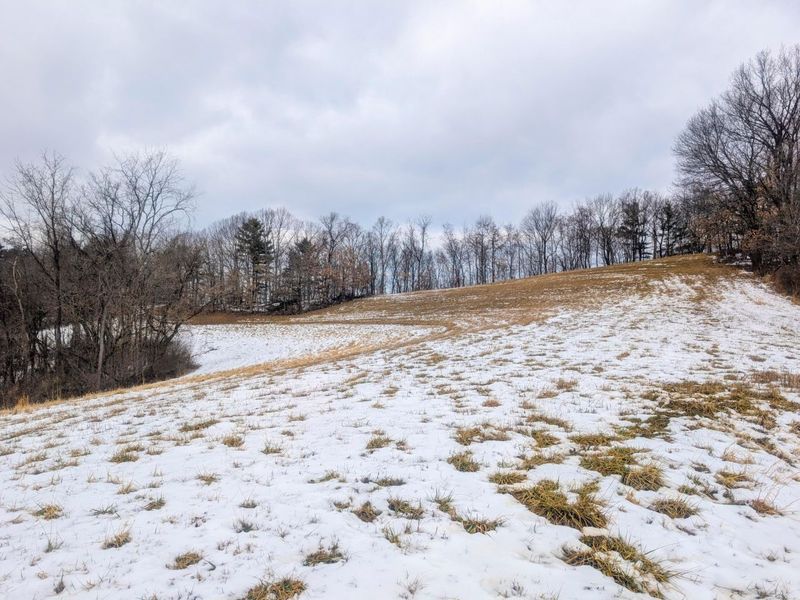 0 Tract 12 Tr 233 , Summerfield, OH 43788 Photo 16