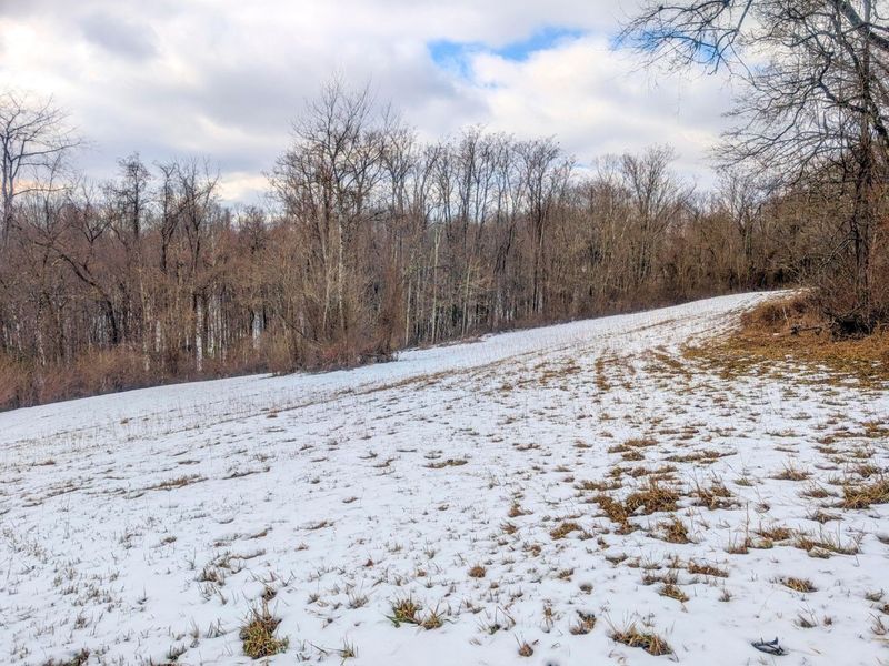 0 Tract 12 Tr 233 , Summerfield, OH 43788 Photo 17