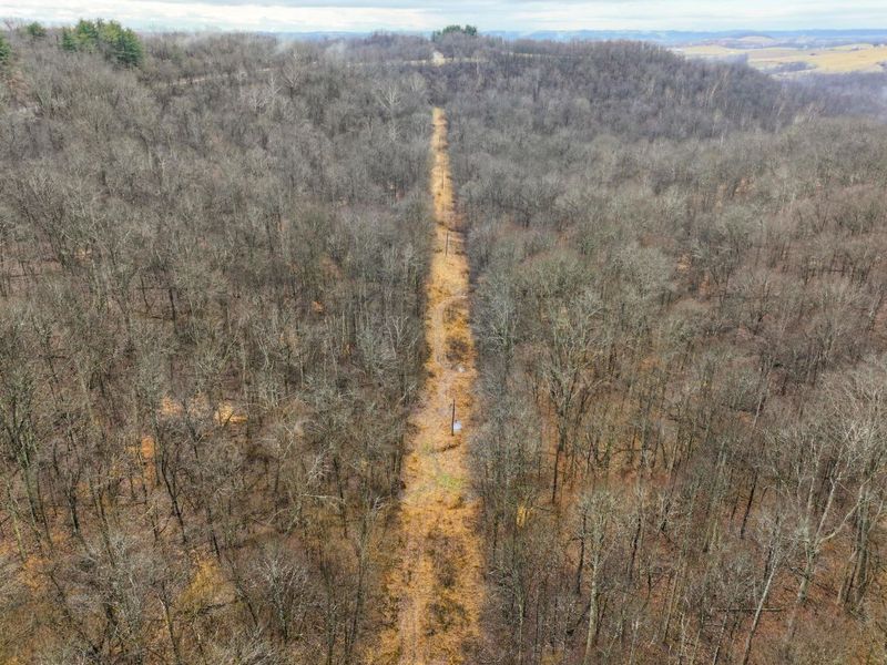 0 Tract 12 Tr 233 , Summerfield, OH 43788 Photo 19