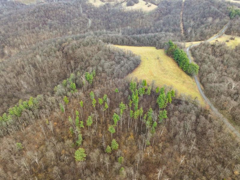 0 Tract 12 Tr 233 , Summerfield, OH 43788 Photo 21