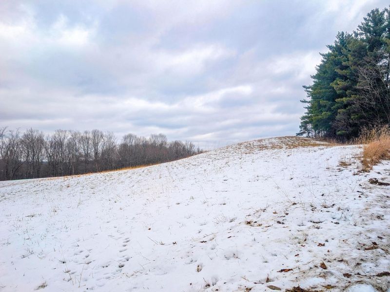 0 Tract 12 Tr 233 , Summerfield, OH 43788 Photo 23