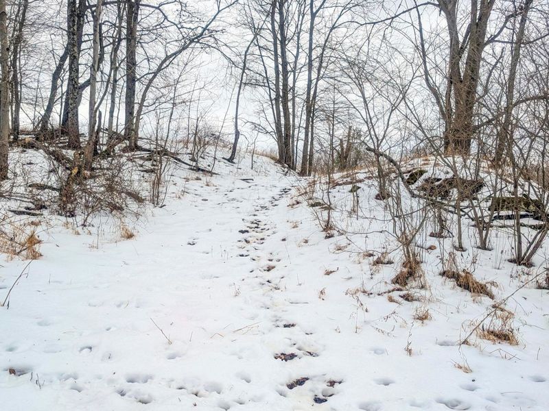 0 Tract 12 Tr 233 , Summerfield, OH 43788 Photo 24