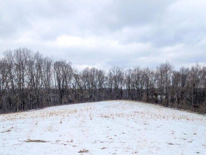 0 Tract 12 Tr 233 , Summerfield, OH 43788 Photo 25