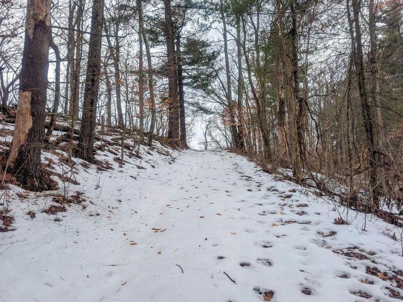 0 Tract 12 Tr 233 , Summerfield, OH 43788 Photo 26