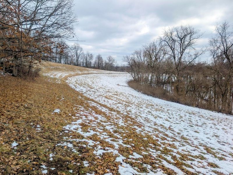 0 Tract 12 Tr 233 , Summerfield, OH 43788 Photo 27