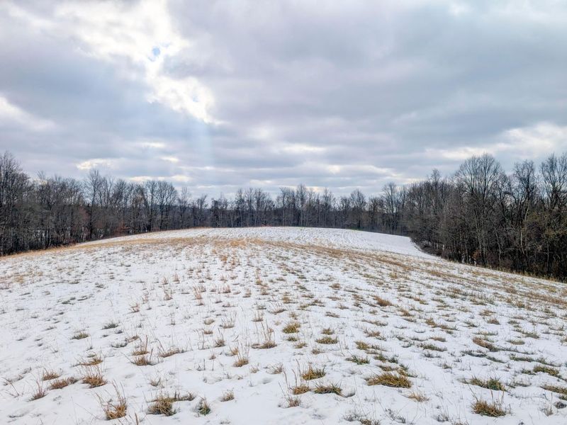 0 Tract 12 Tr 233 , Summerfield, OH 43788 Photo 28