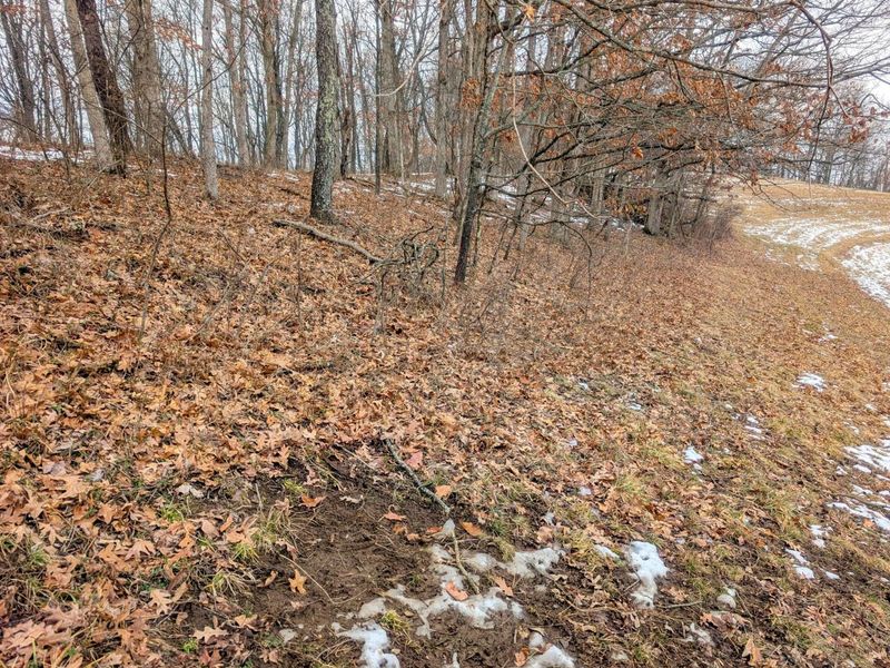 0 Tract 12 Tr 233 , Summerfield, OH 43788 Photo 3