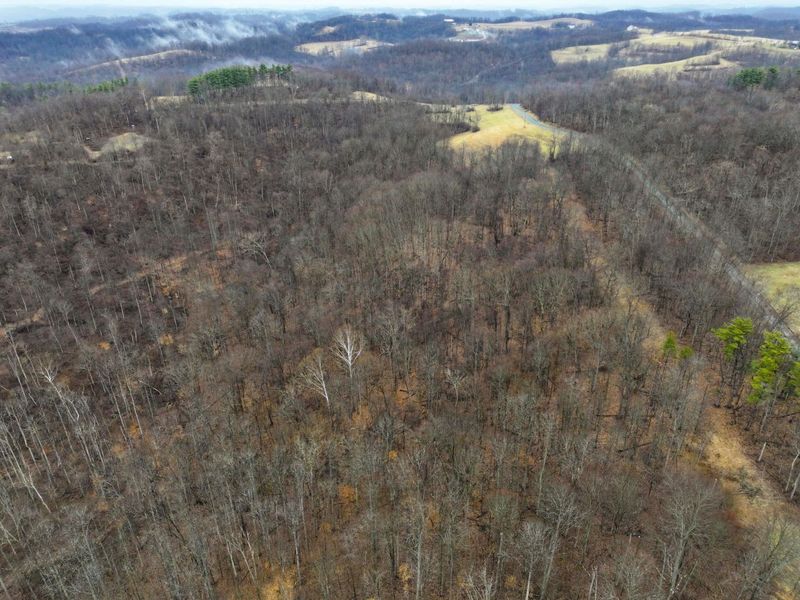 0 Tract 12 Tr 233 , Summerfield, OH 43788 Photo 4