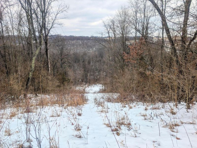 0 Tract 12 Tr 233 , Summerfield, OH 43788 Photo 7