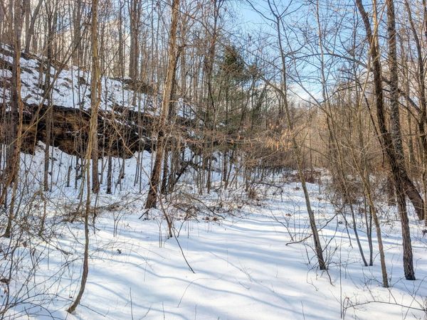 0 Tract 13 Ayers Ridge Rd , Lower Salem, OH 45745