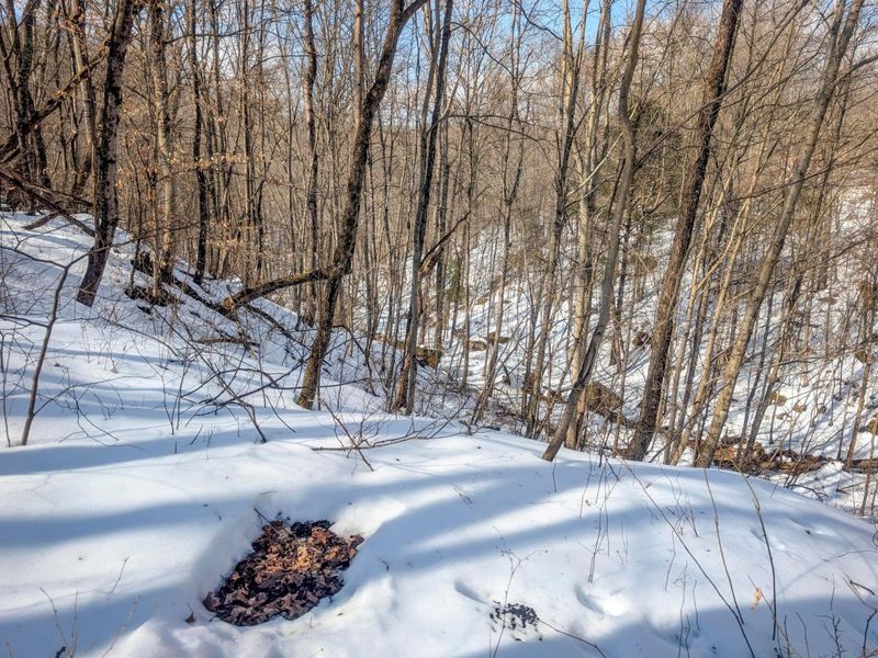 0 Tract 13 Ayers Ridge Rd , Lower Salem, OH 45745 Photo 10