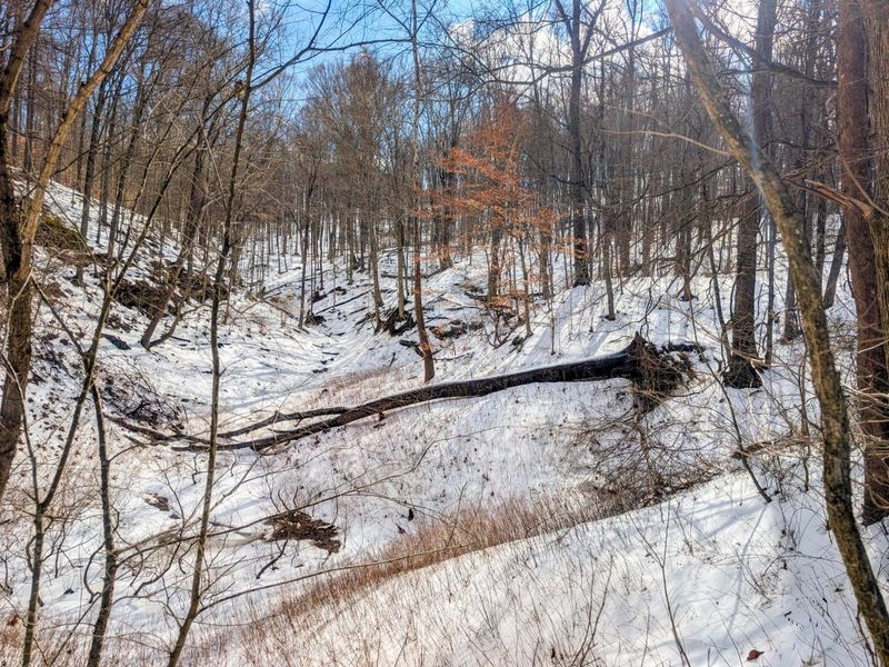 0 Tract 13 Ayers Ridge Rd , Lower Salem, OH 45745 Photo 11