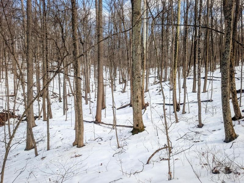 0 Tract 13 Ayers Ridge Rd , Lower Salem, OH 45745 Photo 13