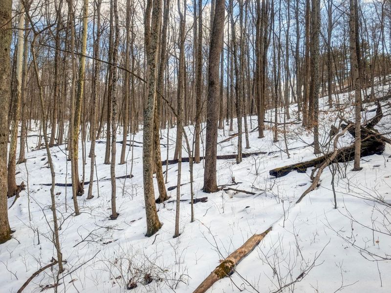 0 Tract 13 Ayers Ridge Rd , Lower Salem, OH 45745 Photo 14