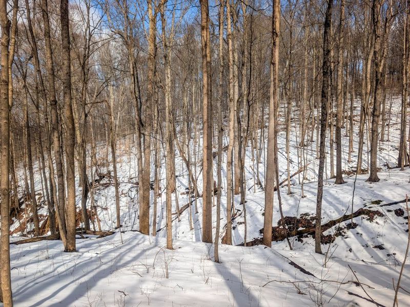 0 Tract 13 Ayers Ridge Rd , Lower Salem, OH 45745 Photo 15