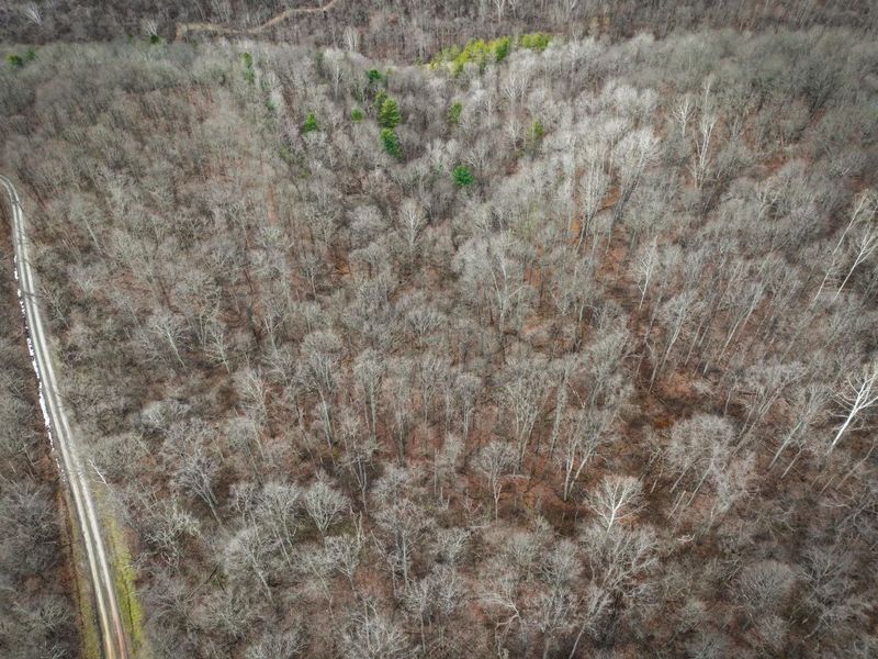 0 Tract 13 Ayers Ridge Rd , Lower Salem, OH 45745 Photo 18