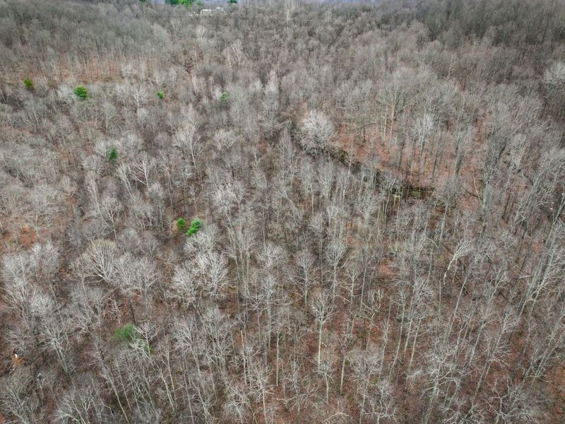 0 Tract 13 Ayers Ridge Rd , Lower Salem, OH 45745 Photo 21