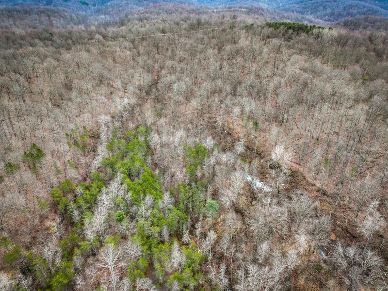 0 Tract 13 Ayers Ridge Rd , Lower Salem, OH 45745 Photo 24