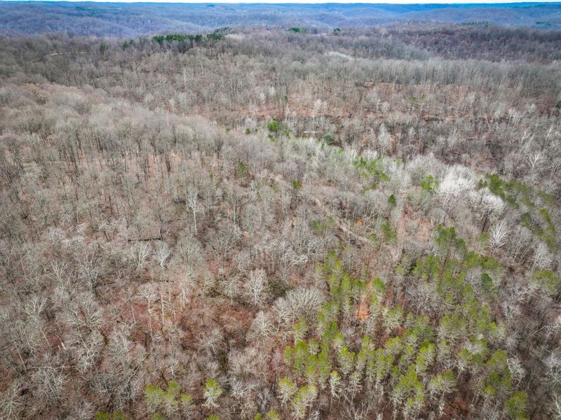 0 Tract 13 Ayers Ridge Rd , Lower Salem, OH 45745 Photo 25