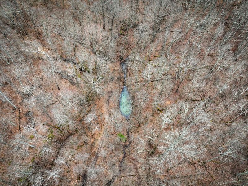 0 Tract 13 Ayers Ridge Rd , Lower Salem, OH 45745 Photo 27