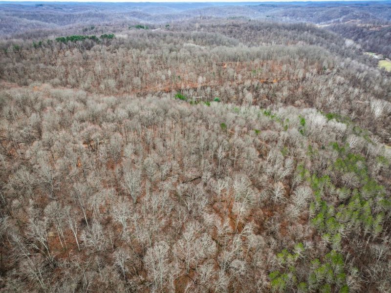 0 Tract 13 Ayers Ridge Rd , Lower Salem, OH 45745 Photo 29