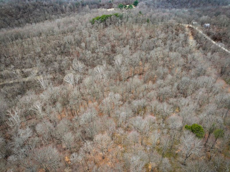 0 Tract 13 Ayers Ridge Rd , Lower Salem, OH 45745 Photo 30