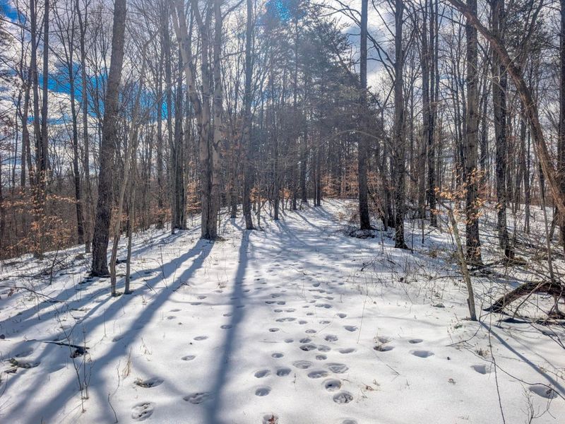 0 Tract 13 Ayers Ridge Rd , Lower Salem, OH 45745 Photo 5