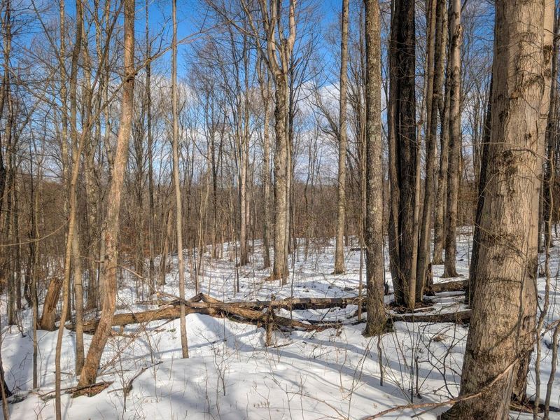 0 Tract 13 Ayers Ridge Rd , Lower Salem, OH 45745 Photo 6