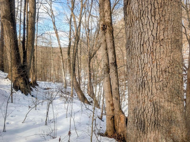 0 Tract 13 Ayers Ridge Rd , Lower Salem, OH 45745 Photo 8