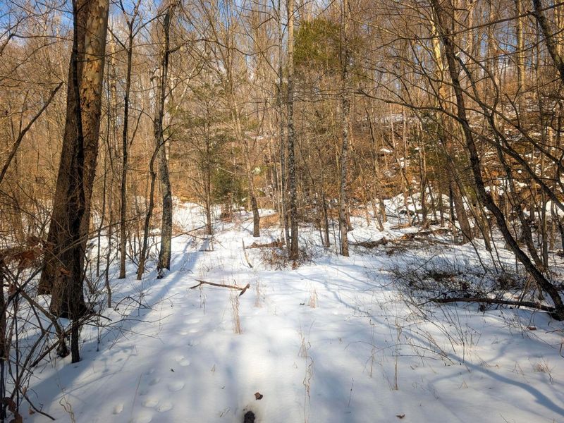 0 Tract 13 Ayers Ridge Rd , Lower Salem, OH 45745 Photo 9