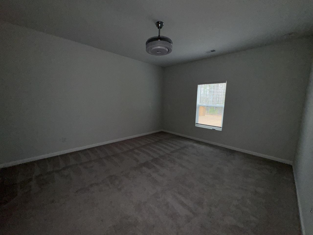 130 Lucky Day Drive Photo 16