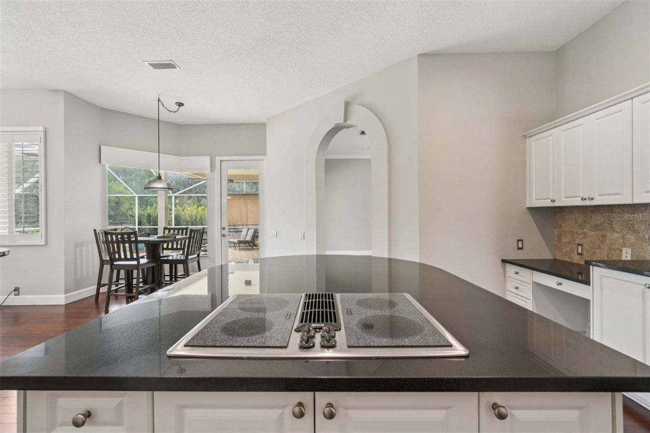 4941 Kylemore Court, Palm Harbor, FL 34685 Photo