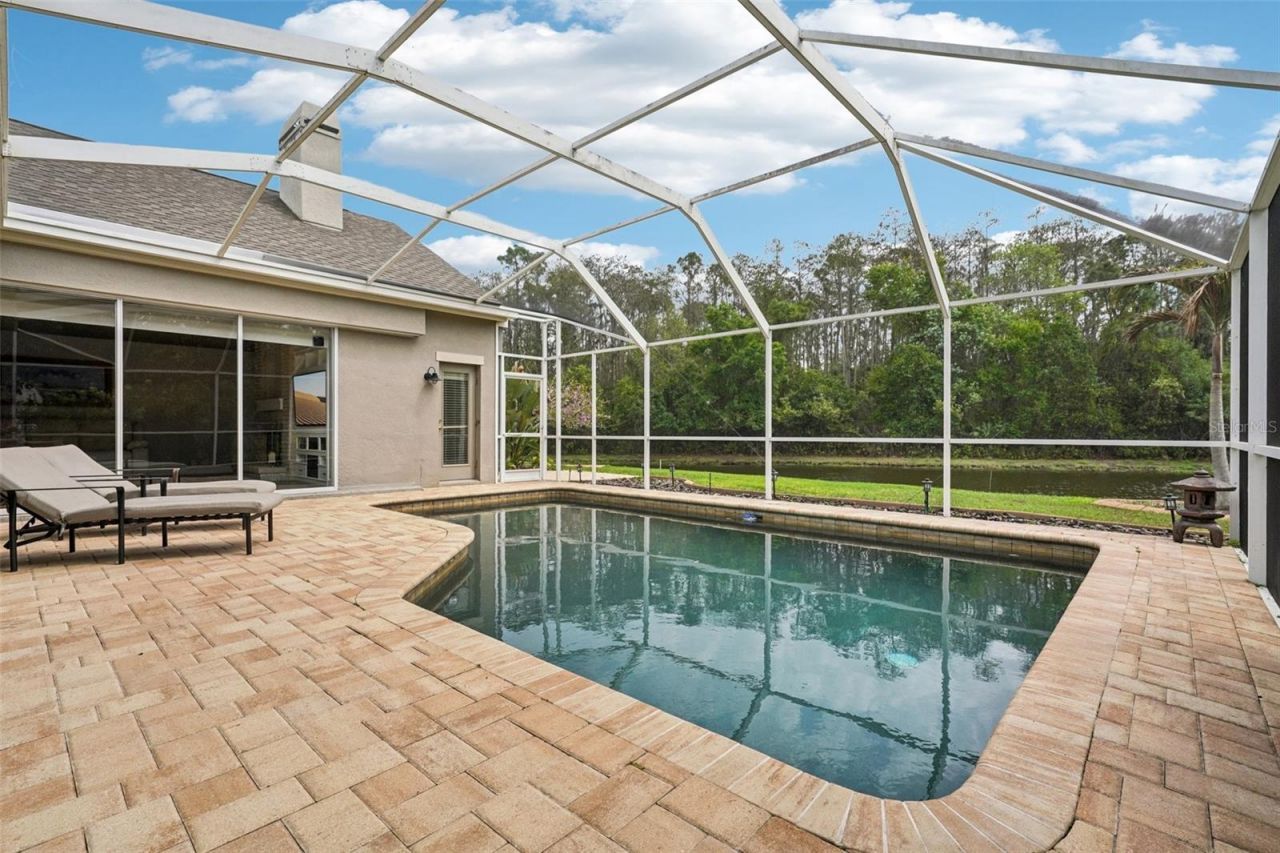 4941 Kylemore Court, Palm Harbor, FL 34685 Photo