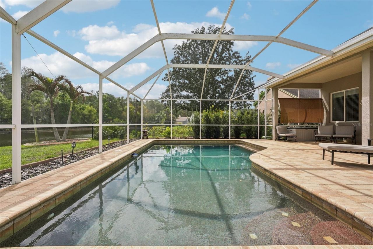 4941 Kylemore Court, Palm Harbor, FL 34685 Photo