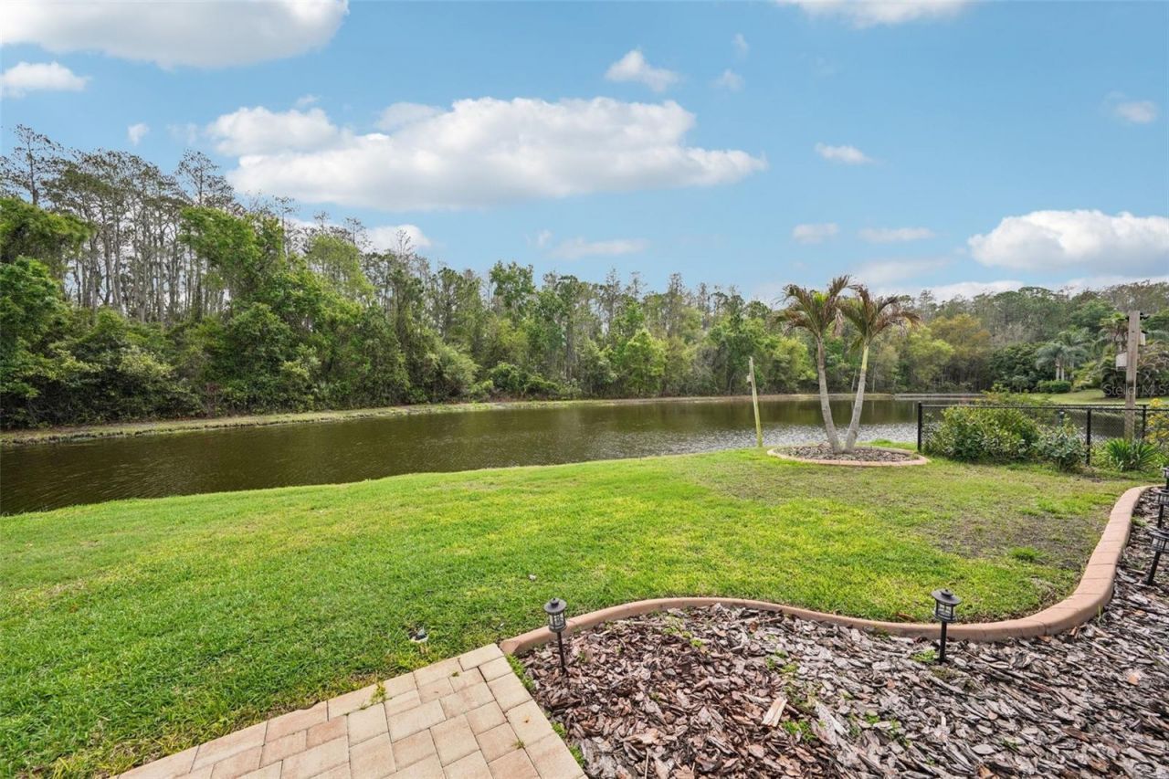 4941 Kylemore Court, Palm Harbor, FL 34685 Photo