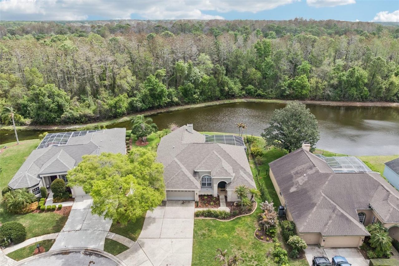 4941 Kylemore Court, Palm Harbor, FL 34685 Photo