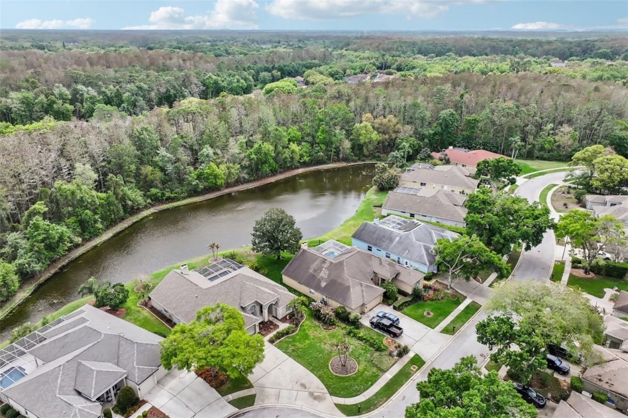 4941 Kylemore Court, Palm Harbor, FL 34685 Photo