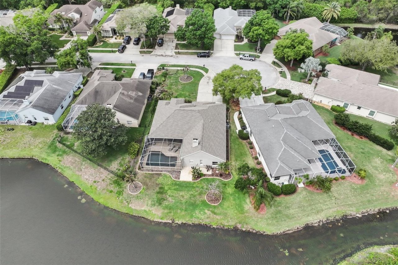 4941 Kylemore Court, Palm Harbor, FL 34685 Photo