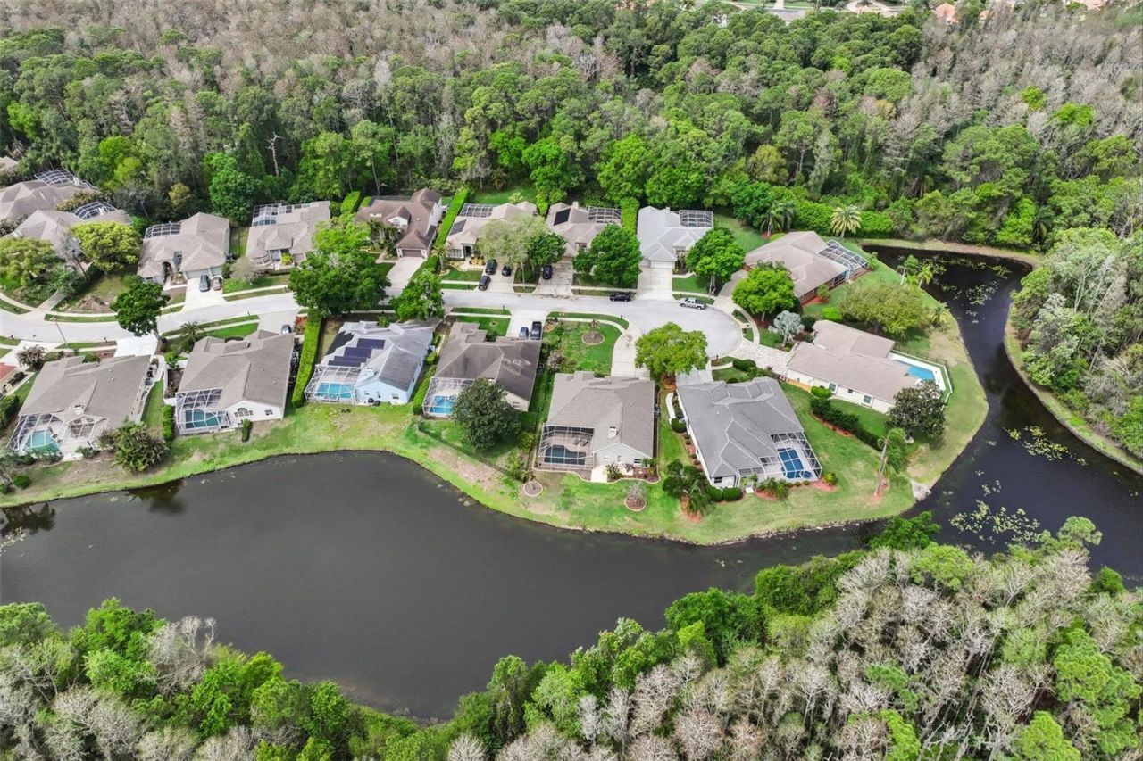 4941 Kylemore Court, Palm Harbor, FL 34685 Photo