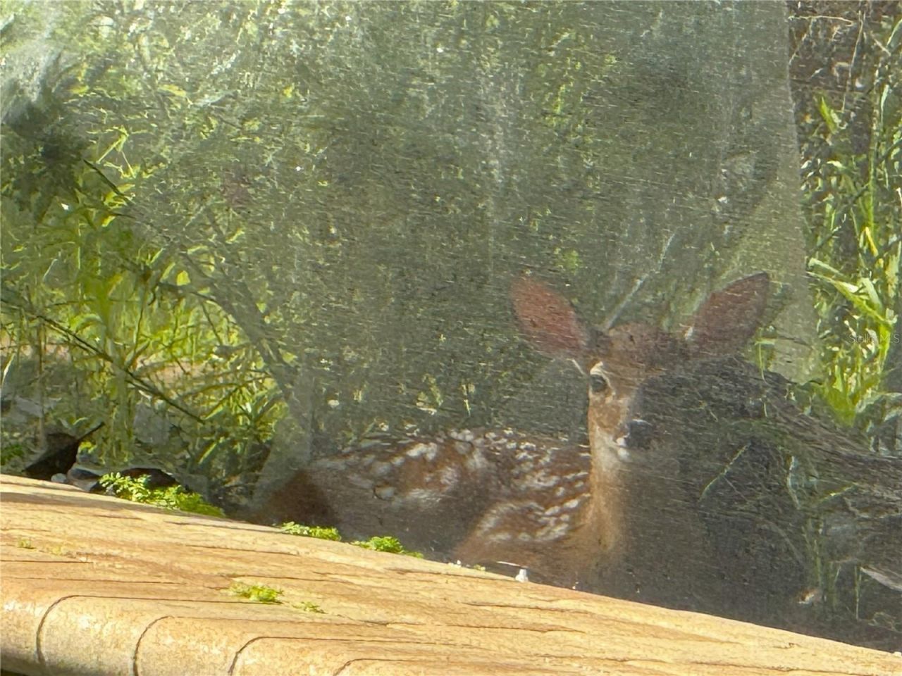 4941 Kylemore Court, Palm Harbor, FL 34685 Photo