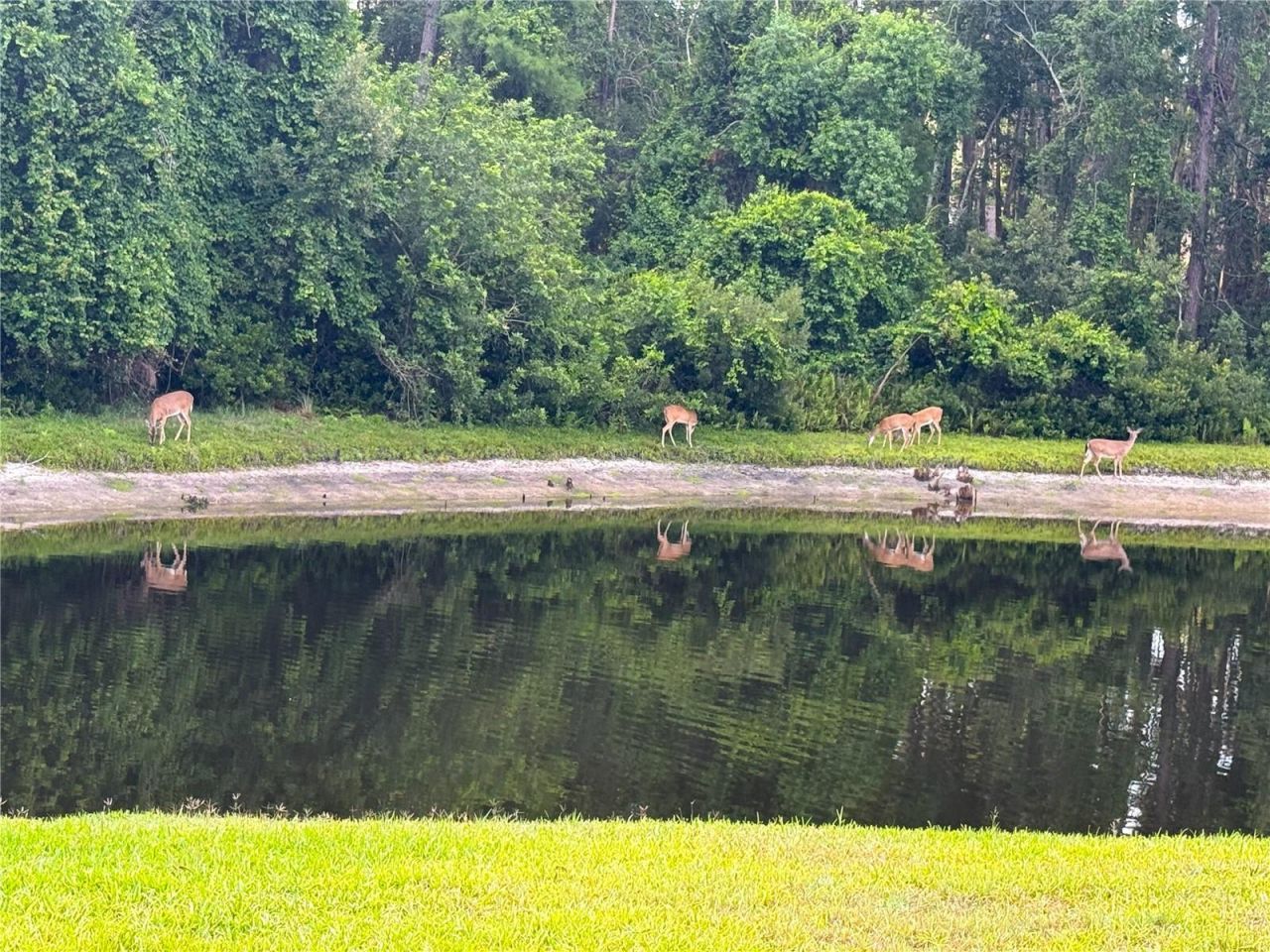 4941 Kylemore Court, Palm Harbor, FL 34685 Photo